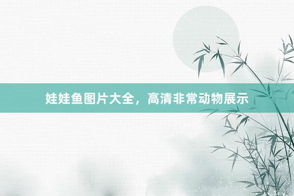 娃娃鱼图片大全，高清非常动物展示
